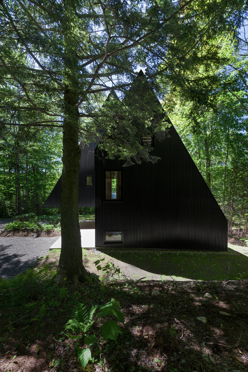 FAHOUSE: A Double Triangular House in the Forest