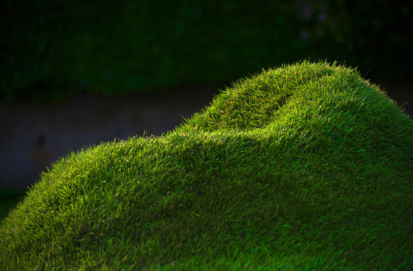 Terra-Grass-Armchair-2