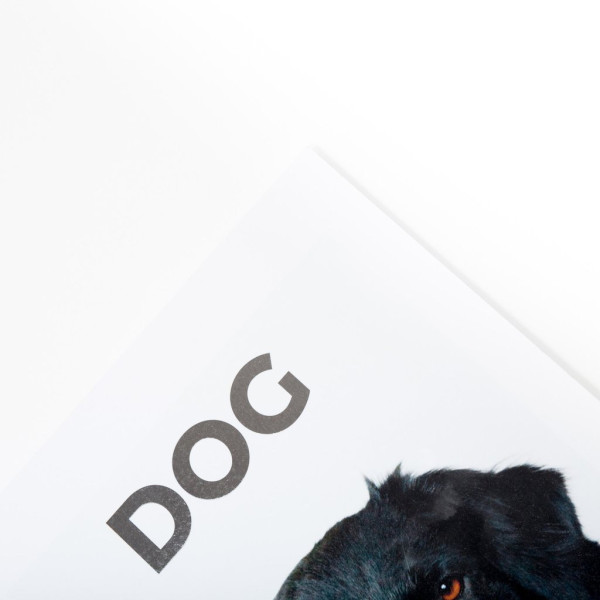 DOG-magazine-issue