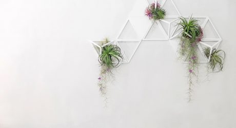 Geometric, Modular Air Planters by Moana Design Studio