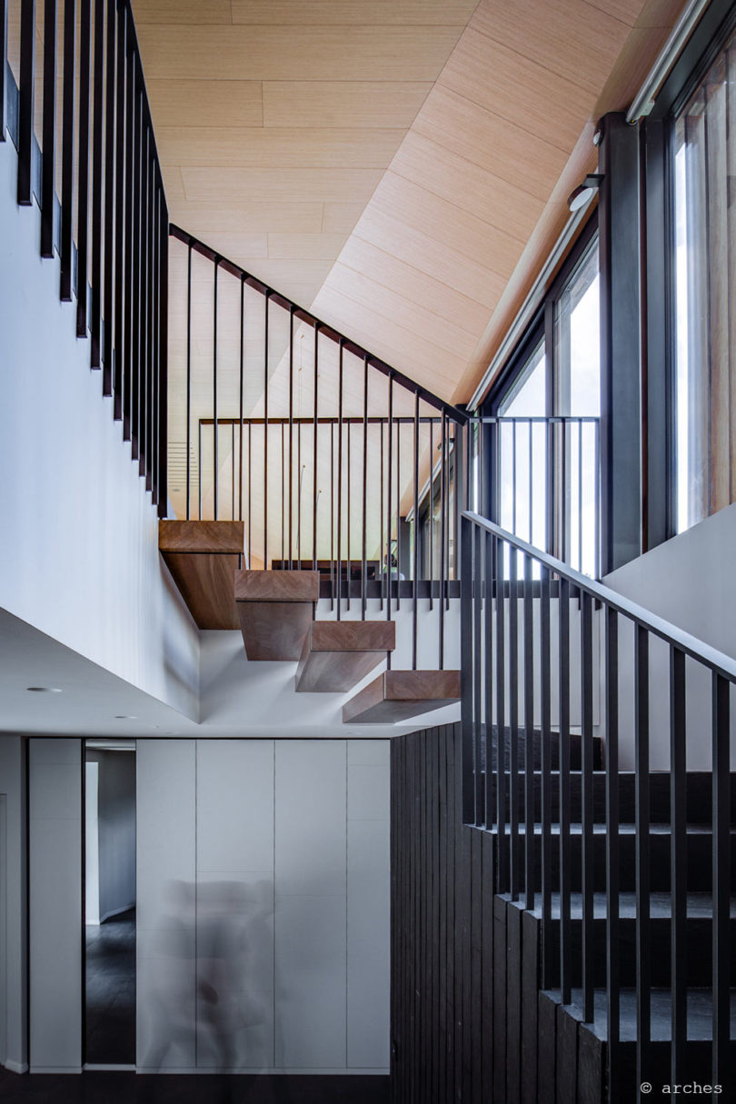 A Pine-Clad Villa Built into a Slope in Lithuania