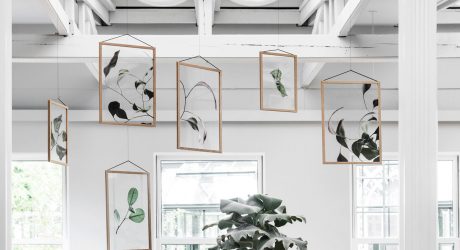 Three Danish Companies Release Transparent Botanical Prints