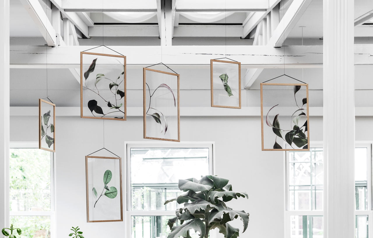 Three Danish Companies Release Transparent Botanical Prints
