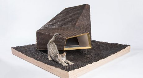 Modern, Architect-Designed Outdoor Cat Dwellings for Charity