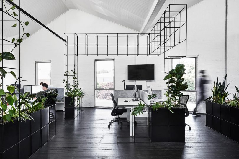 Candlefox HQ: A Graphic, Black and White Office in Melbourne