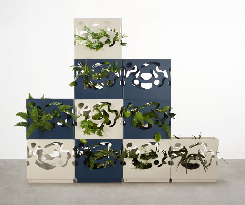 Tait Lets You Build a Modern Wall of Plants with GardenWall