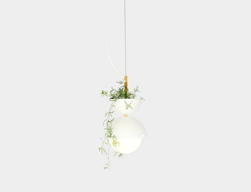 A Plantable Light Fixture by Ryan Taylor for Object/Interface