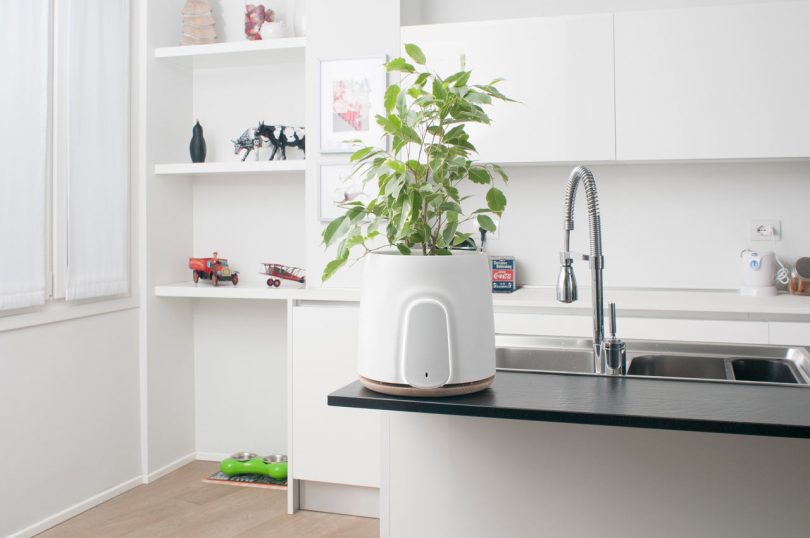 NATEDE: A Smart and Natural Air Purifier by Clairy