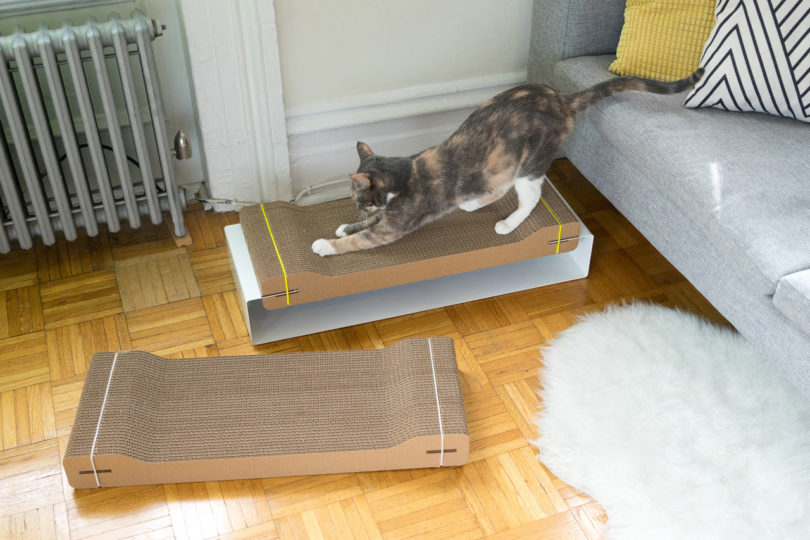 Wiski Launches With Two Modern Cat Scratchers
