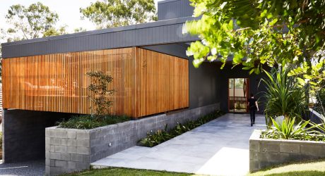 The Coorparoo House in Brisbane Designed Around the Surrounding Eucalyptus Trees
