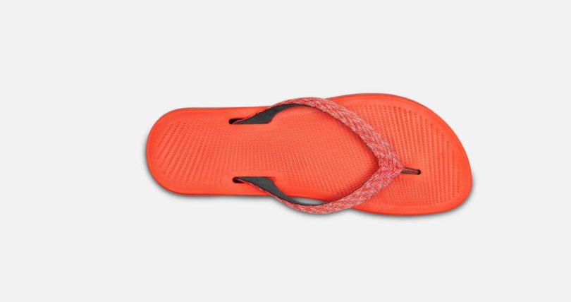 allbirds flip flops for sale