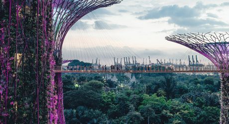 The Crazy Rich Asians Guide to Design and Architecture in Singapore