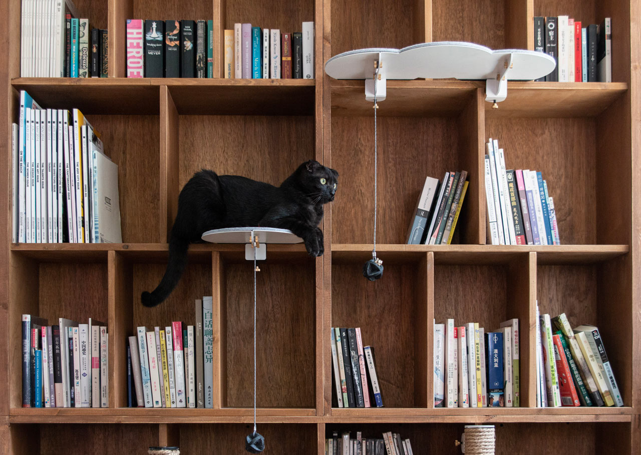 Studio RYTE Makes CATTSUP Adaptive Cat Furniture and Accessories for City Dwellers