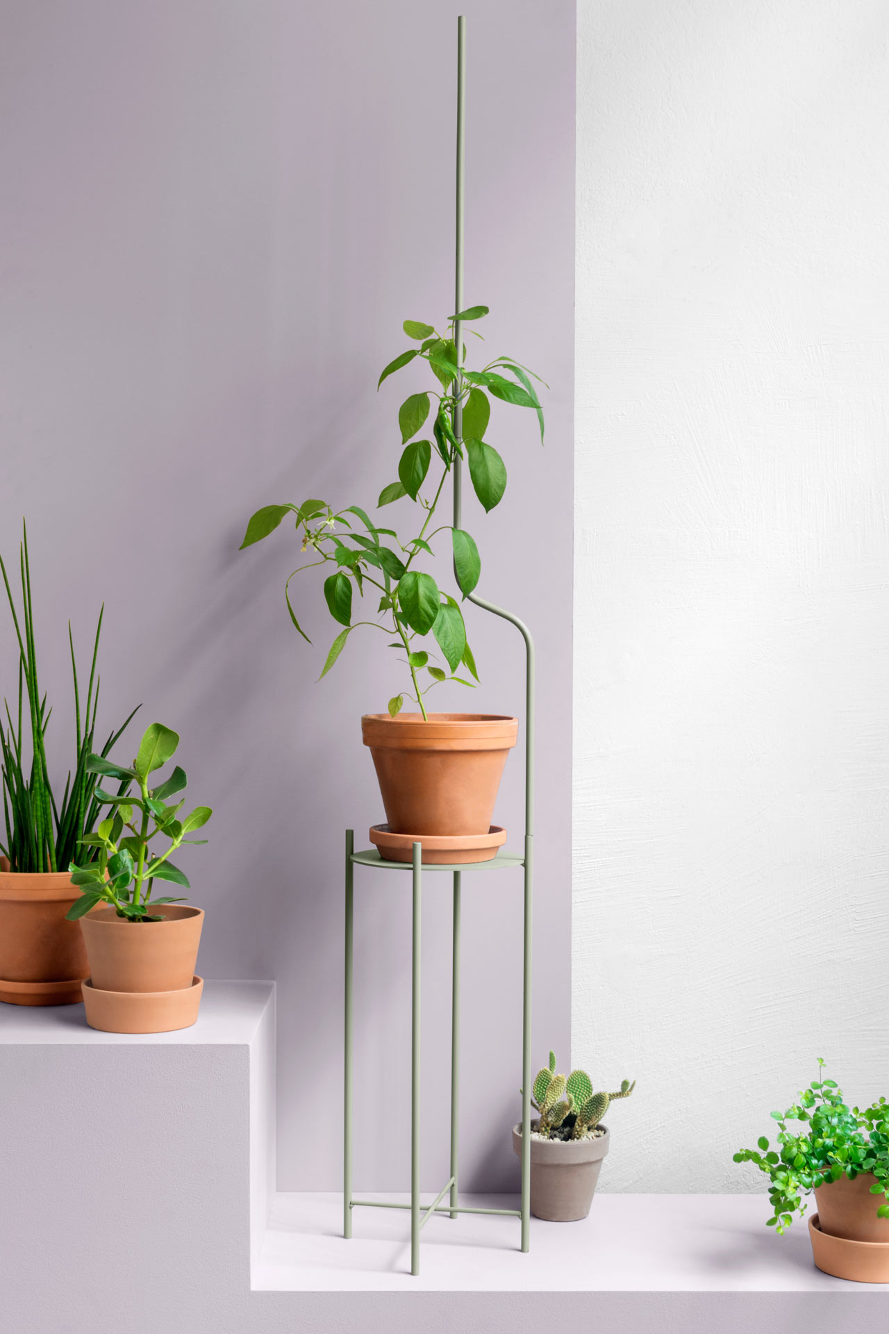 SUPERLIFE Wants Liana to Support Your Plants as They Grow