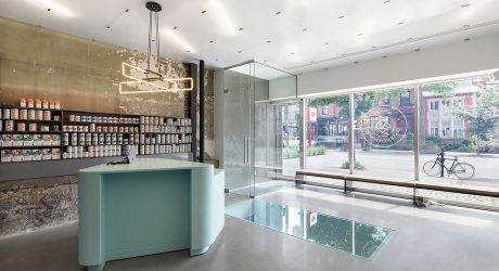 A Renovated, State-of-the-Art Vet Clinic in Montréal
