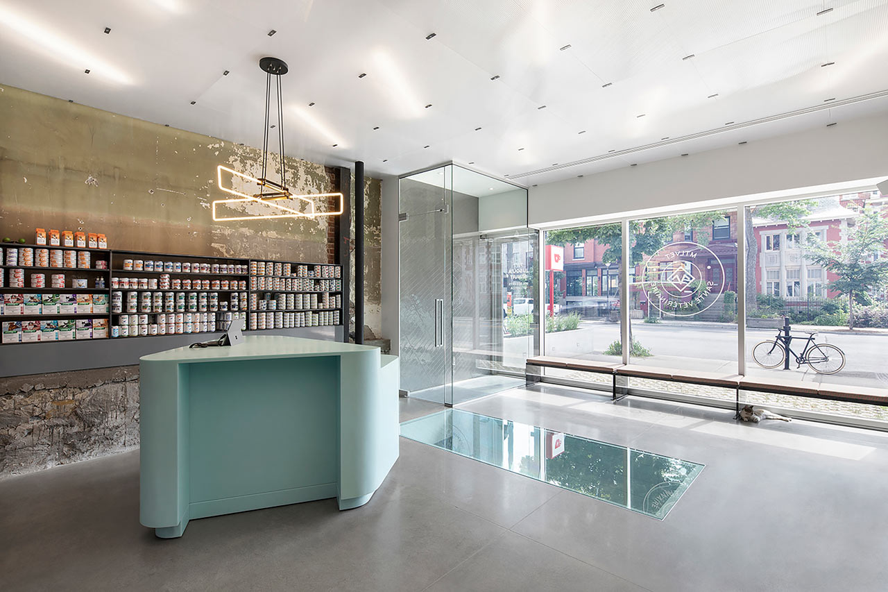 A Renovated, State-of-the-Art Vet Clinic in Montréal