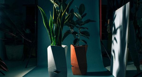 Carmen Aims to Keep Your Plants Alive for up to 3 Weeks