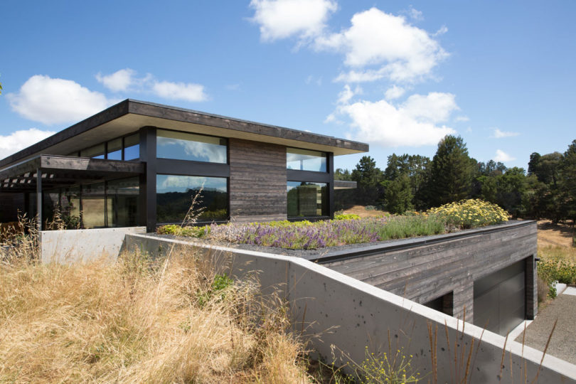 Feldman Architecture Designs The Meadow Home on a Prairie