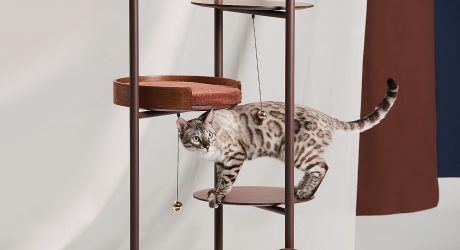 Three Poles Collection Is Design You and Your Cat Will Both Love