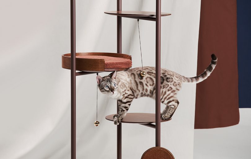 Three Poles Collection Is Design You and Your Cat Will Both Love