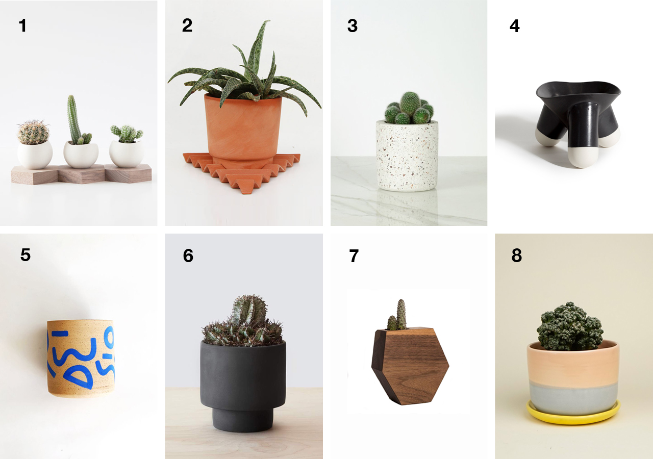 8 Succulent Planters to Get Your Indoor Garden Started