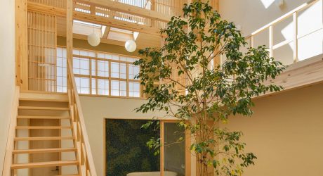 A Family House in Kyoto with a Tree Growing in the Middle