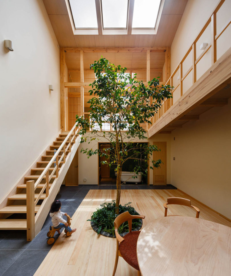 A Family House in Kyoto with a Tree Growing in the Middle