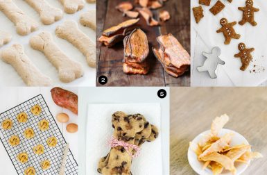 Dog Milk Holiday Gift Guide: 30 DIY Gifts for Dogs