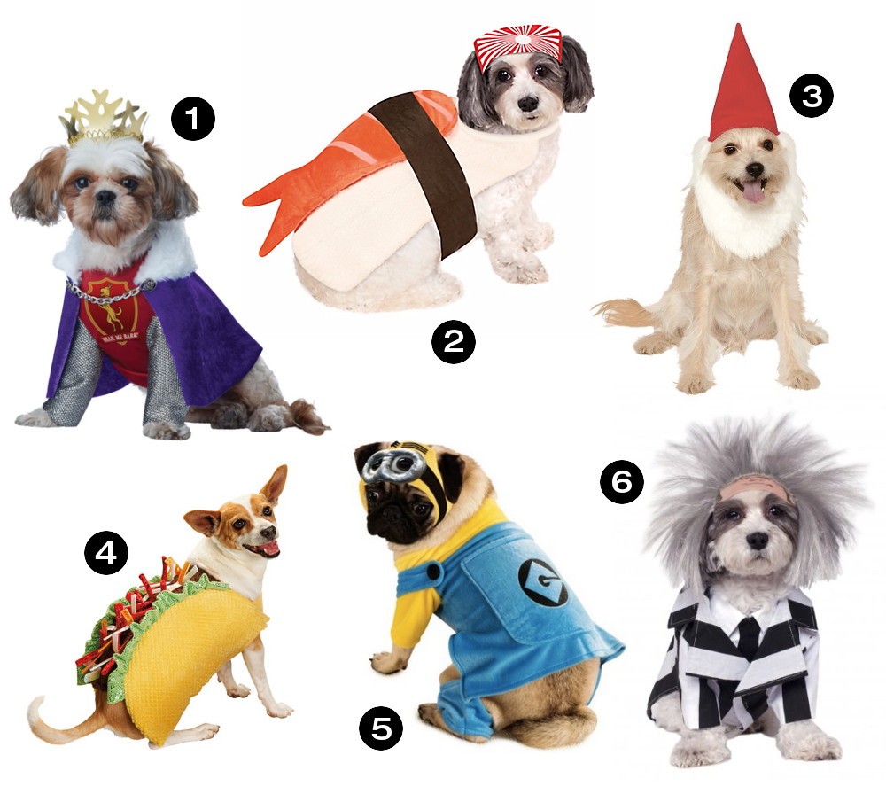 Halloween Hounds: 26 Awesome Dog Costumes for 2015