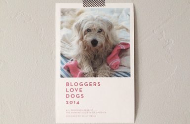 Bloggers Love Dogs 2014 Fundraising Calendar