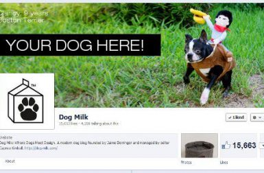November Cover Canine Call for Submissions