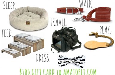 Giveaway: Win a $100 Gift Card to Amato Pet