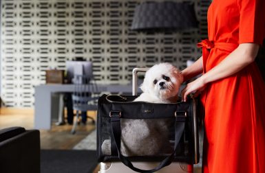 Arlo Skye Airline-Approved Pet Carrier