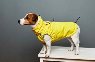 Dog Raincoats from Bark and Go