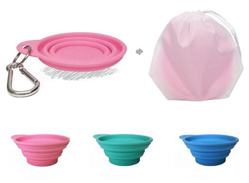 Bliss Paws Collapsible Travel Bowl