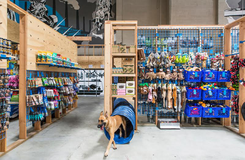Blue Collar Working Dog: A Combined Retail Space and Agility Course