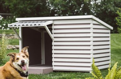 Archie Modern Dog House from Boomer & George