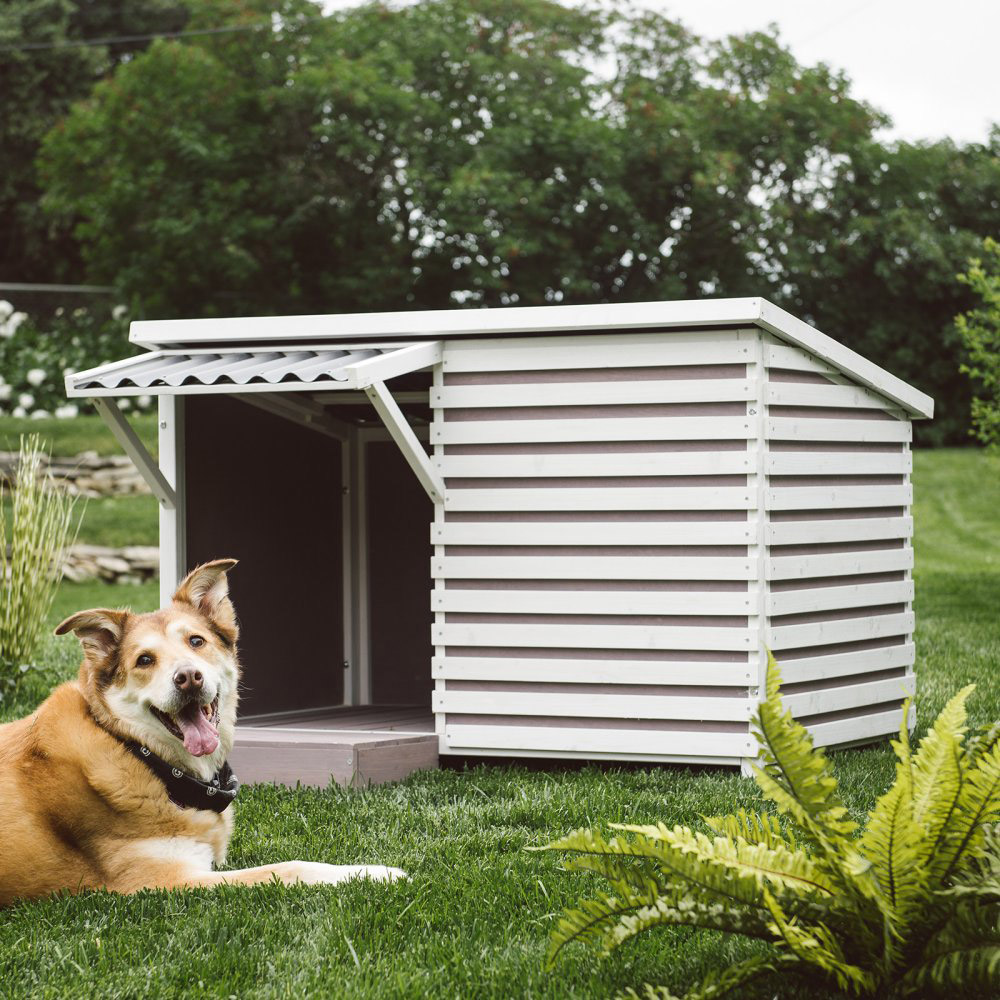 Archie Modern Dog House from Boomer & George