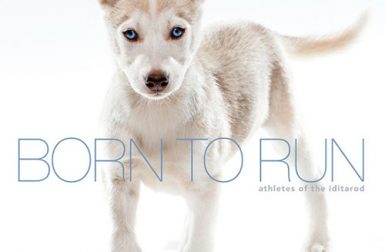 <i>Born to Run: Athletes of the Iditarod</i> by Albert Lewis