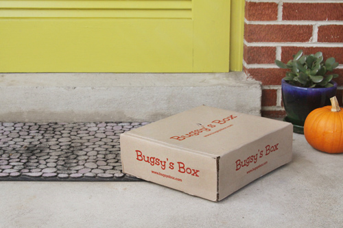 Bugsy’s Box Monthly Dog Subscription Service