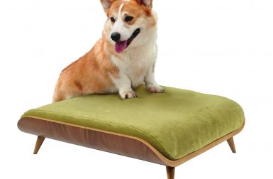 Cairu Design Modern Dog Beds