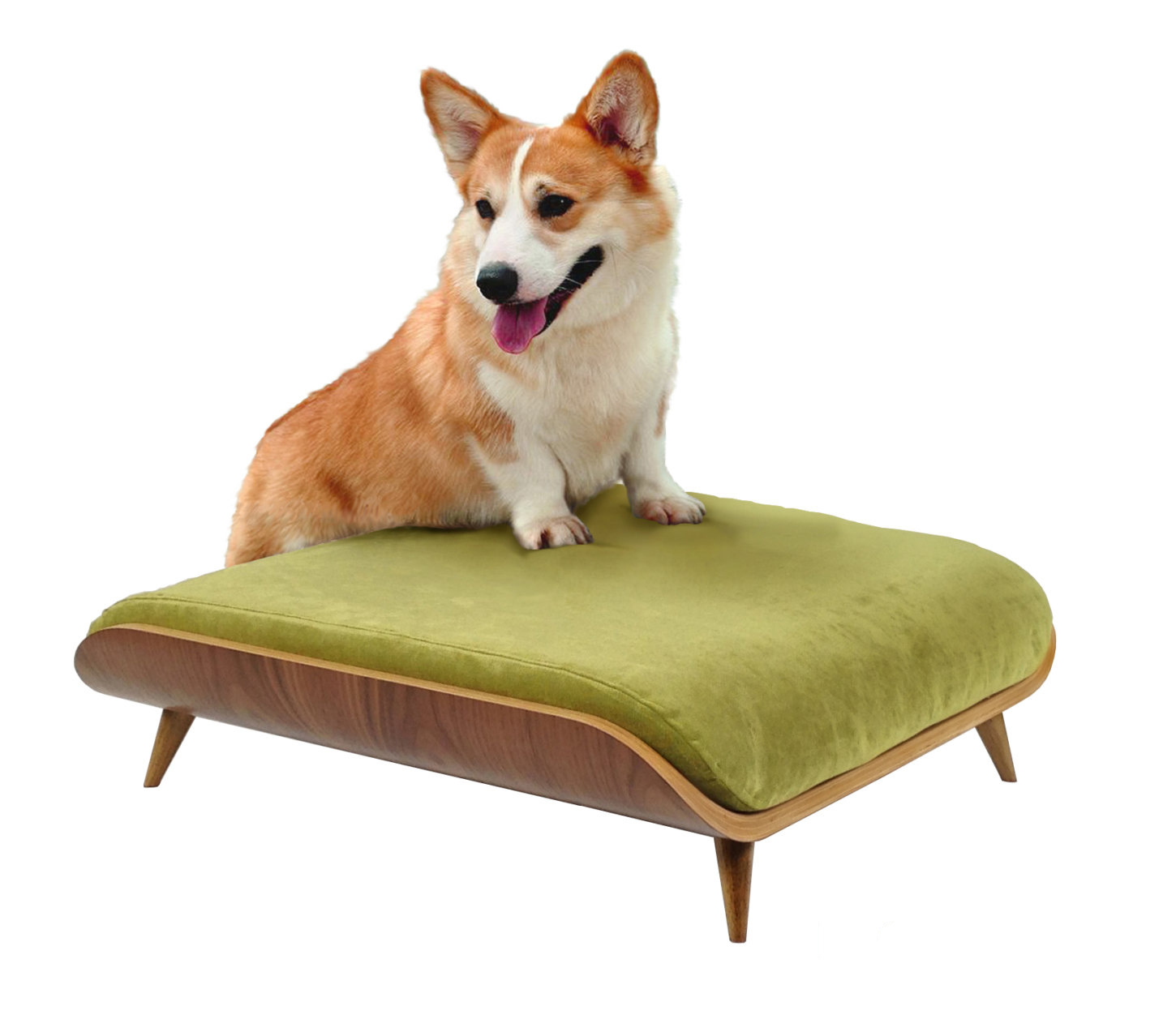 Cairu Design Modern Dog Beds