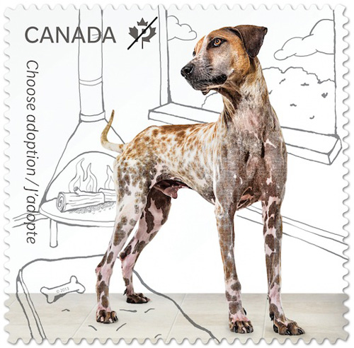 Adopt a Pet Postage Stamps from Canada Post