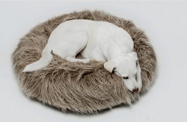 New Yeti Dog Pouf from Cloud7
