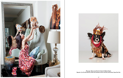 <i>Couture Dogs of New York</i> Photography Book by Paul Nathan