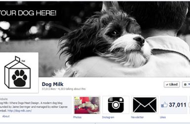 May Cover Canine Call for Submissions