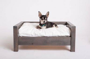 Elevated Dog Beds by Cozy Cama