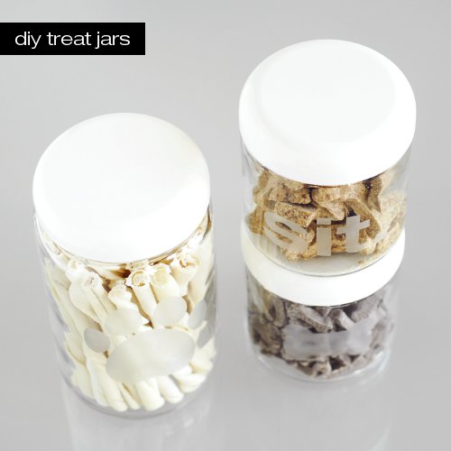 DOG-I-Y: Modern DIY Etched Glass Treat Jars