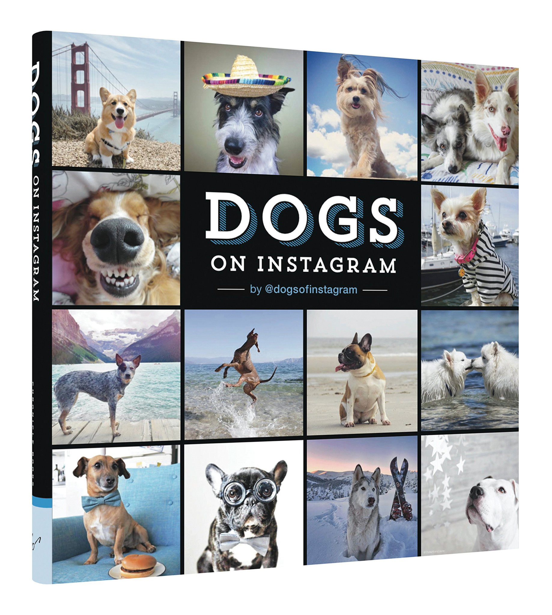 Dogs on Instagram Photo Book