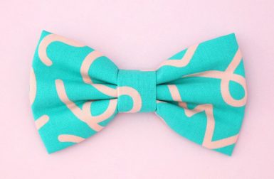 Bow Ties and Collars from DusiDog
